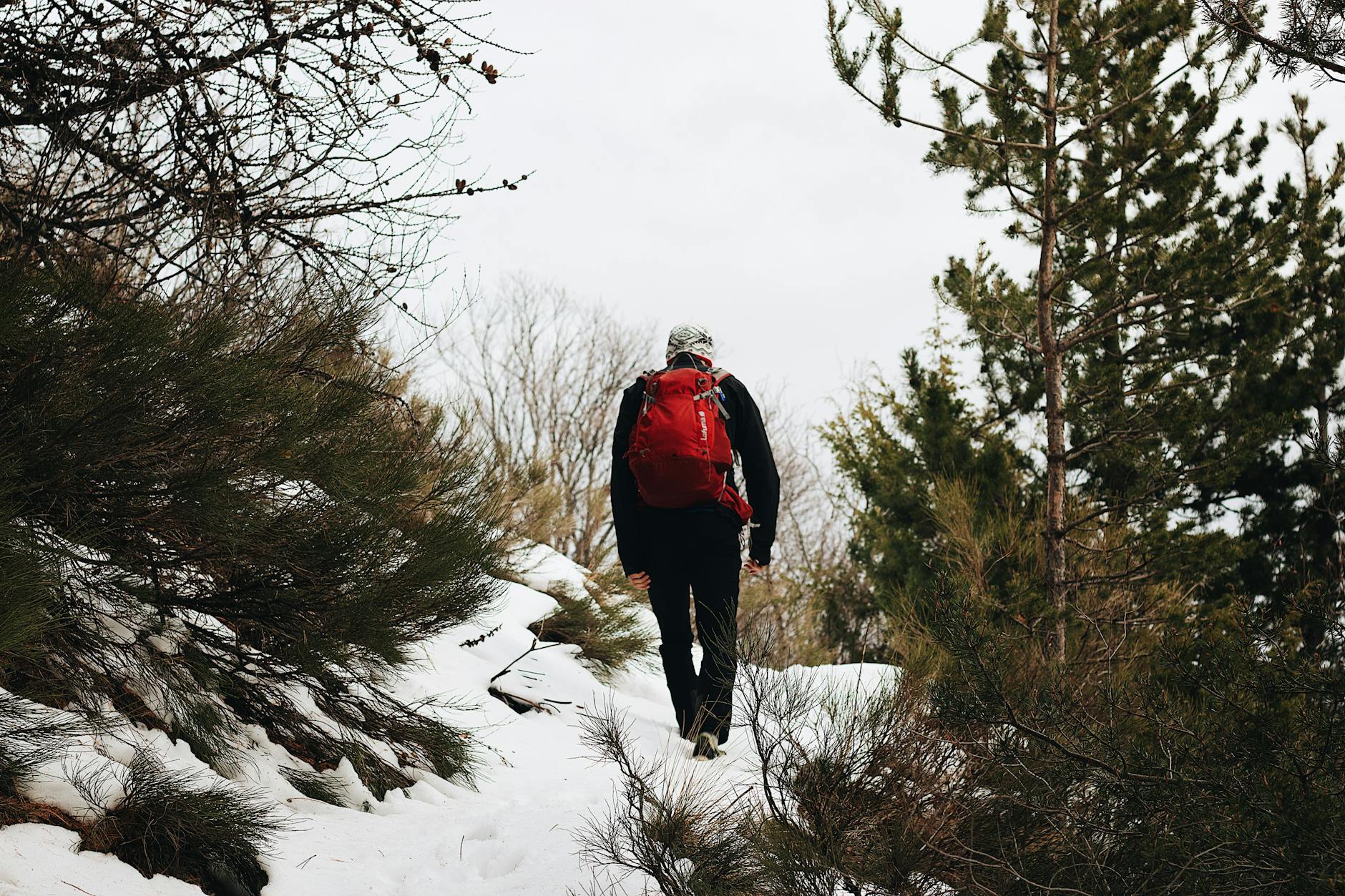 A lone hiker with a red backpack treks through a snowy forest trail in winter.